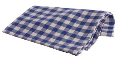 Linneduk 240x130 cm blå/vit rutig